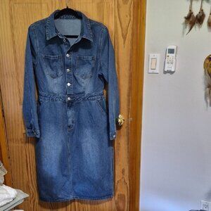 Denim Long Sleeve Button-Up Dress